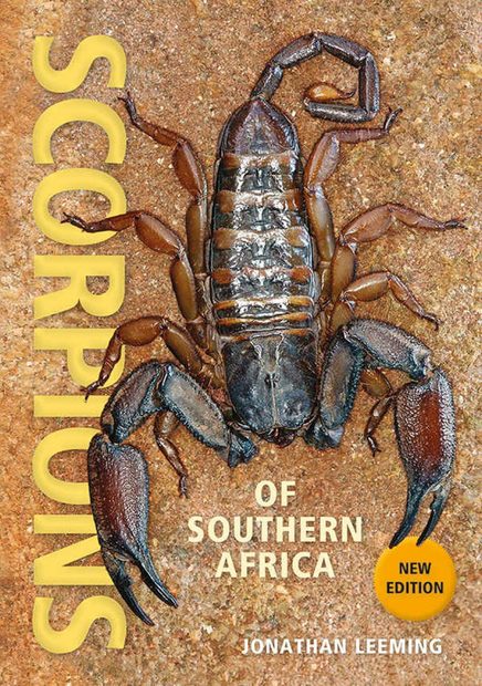 Scorpions of Southern Africa