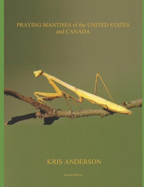 Praying Mantises of the United States and Canada
