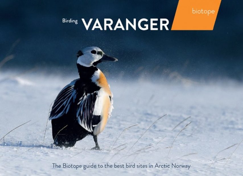 Birding Varanger