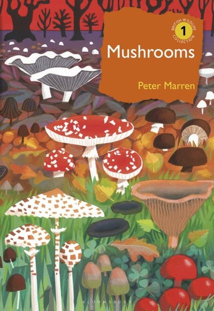 Mushrooms