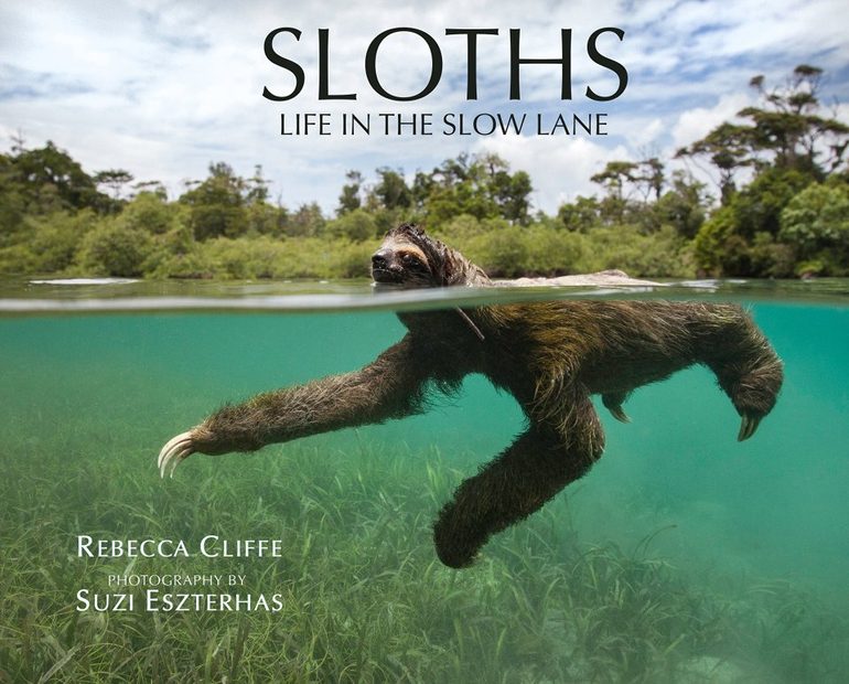 Sloths
