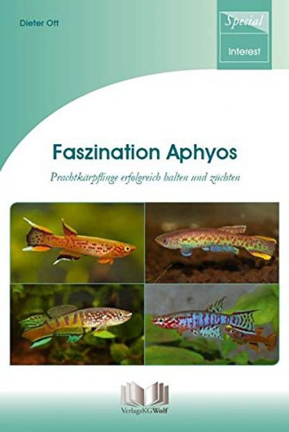 Faszination Aphyos: Prachtkärpflinge Erfolgreich Halten und Züchten [Fascinating Aphyos: Successfully Keeping and Breeding African Rivulines]