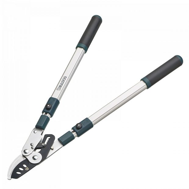 Bulldog Extendable Ratchet Lopping Shears