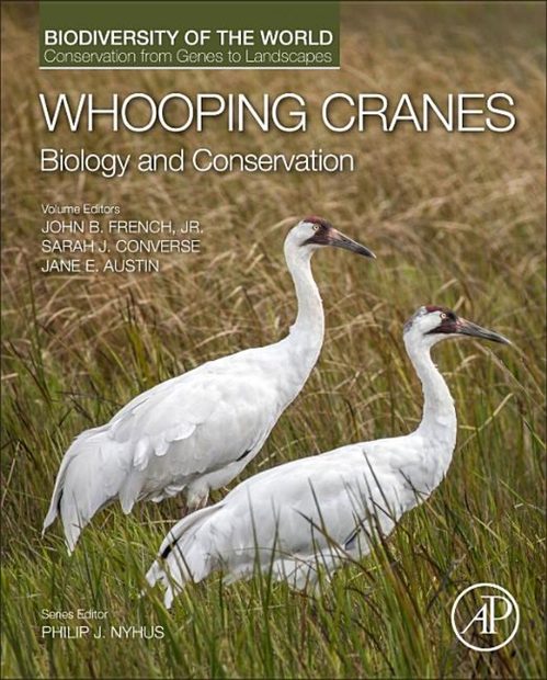 Whooping Cranes