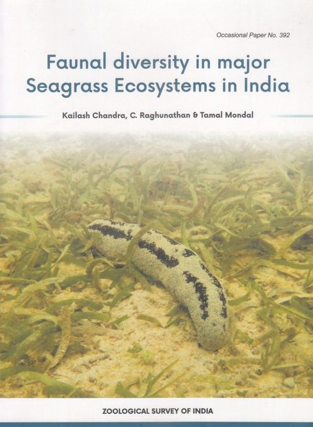 Faunal Diversity in Major Seagrass Ecosystems in India