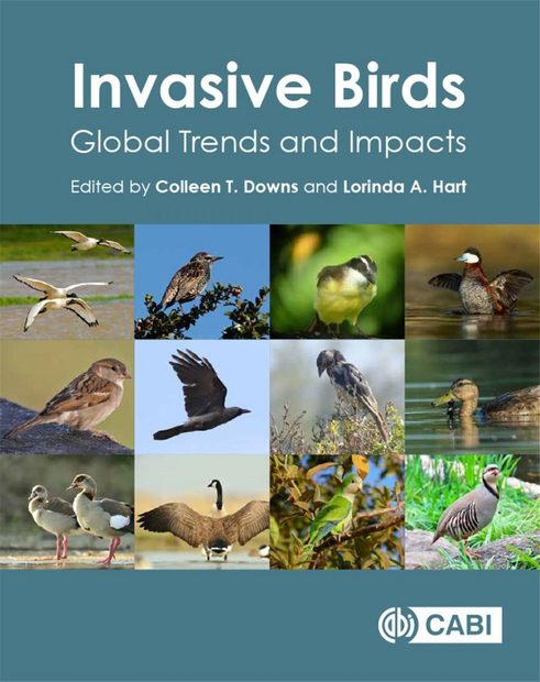 Invasive Birds