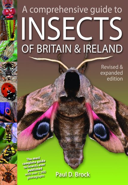 A Comprehensive Guide to Insects of Britain & Ireland