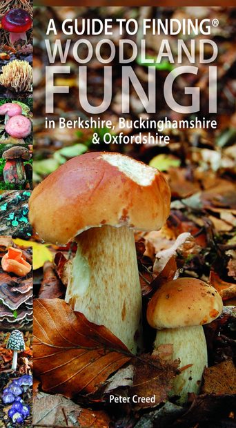 A Guide to Finding Woodland Fungi in Berks, Bucks & Oxon