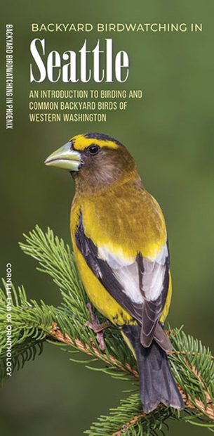 Backyard Birdwatching in Seattle