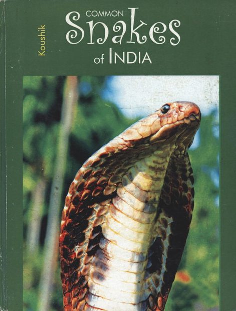 Common Snakes of India