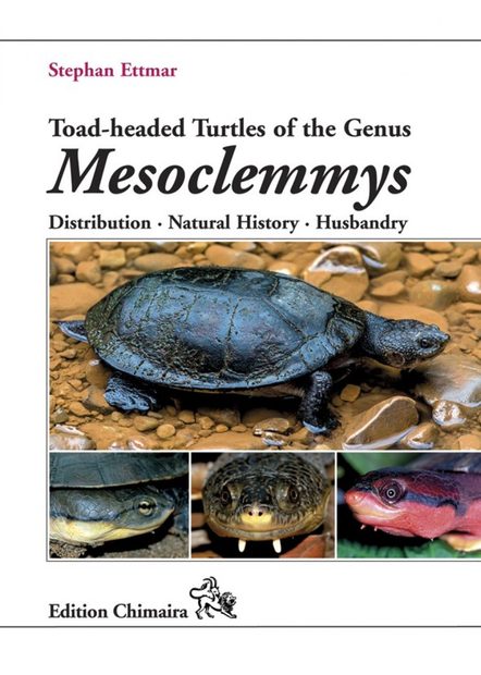 Toad-Headed Turtles of the Genus Mesoclemmys