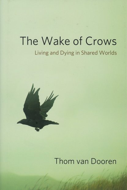 The Wake of Crows