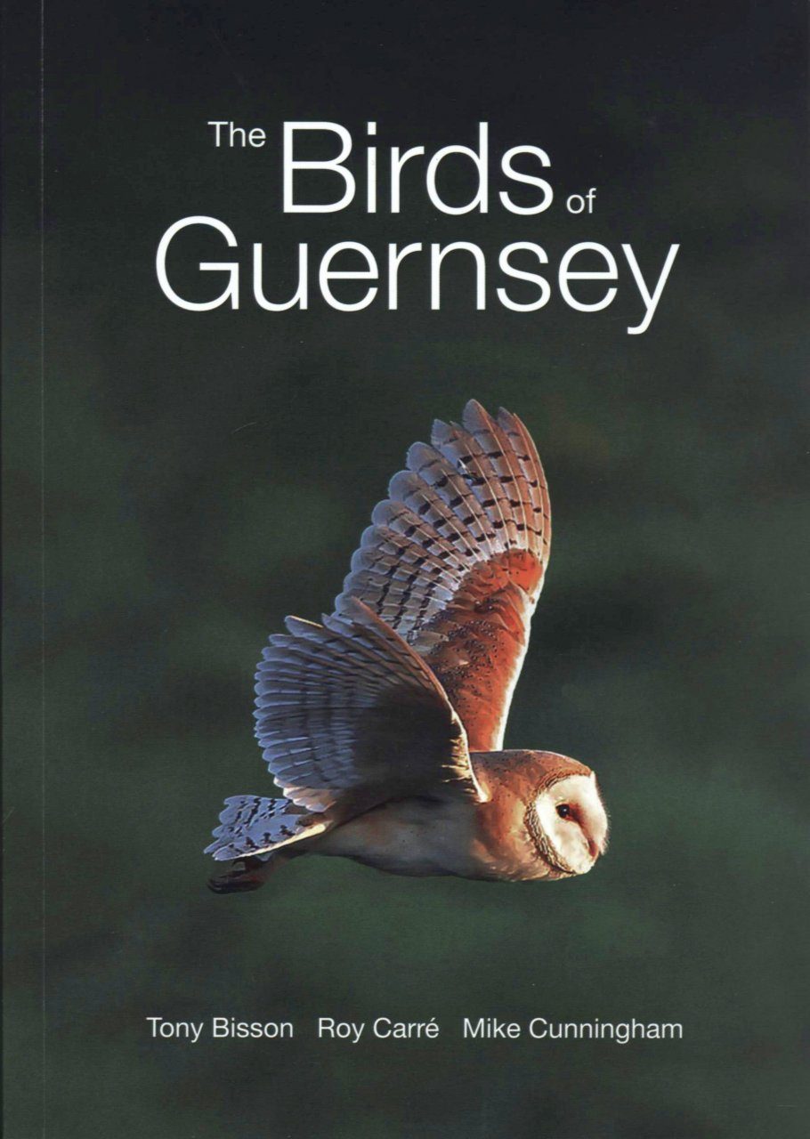 Books Travel Channel Islands Guernsey Handbook 2018 The Essential Guide To Guernsey 2018 Aocpharma Com