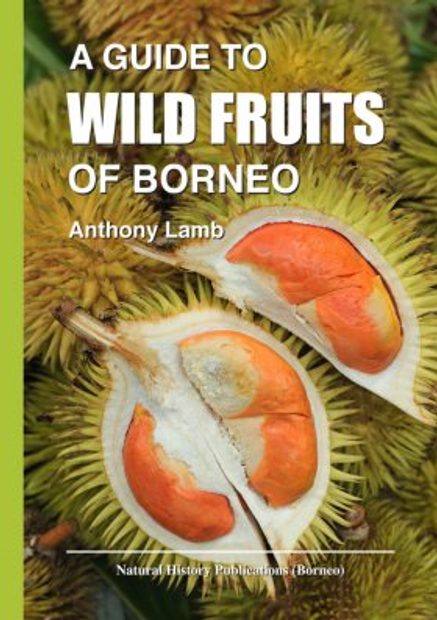 A Guide to Wild Fruits of Borneo