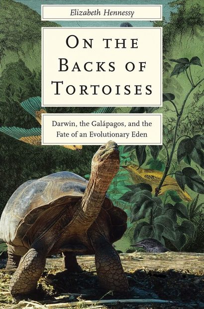 On the Backs of Tortoises