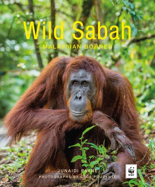 Wild Sabah