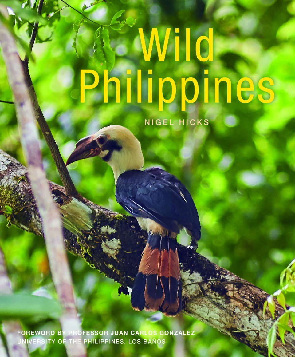 Wild Philippines | NHBS Field Guides & Natural History