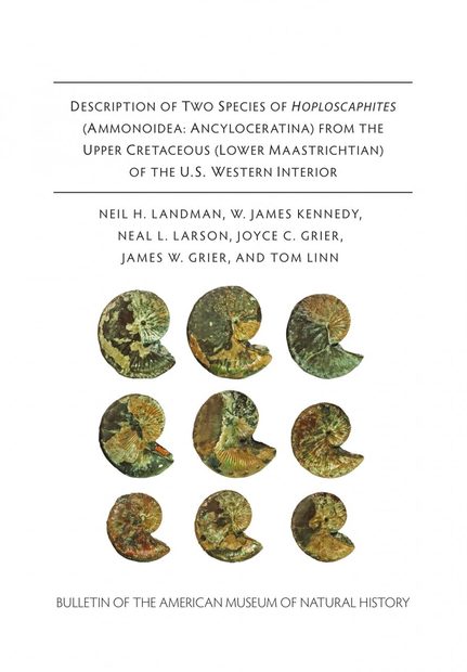 Description of Two Species of Hoploscaphites (Ammonoidea, Ancyloceratina) from the Upper Cretaceous (Lower Maastrichtian) of the U.S. Western Interior