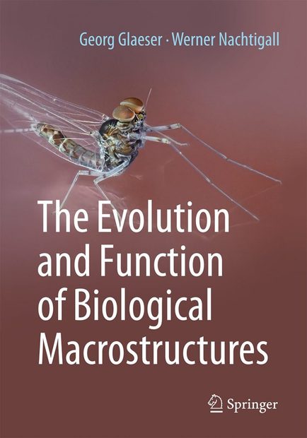 The Evolution and Function of Biological Macrostructures