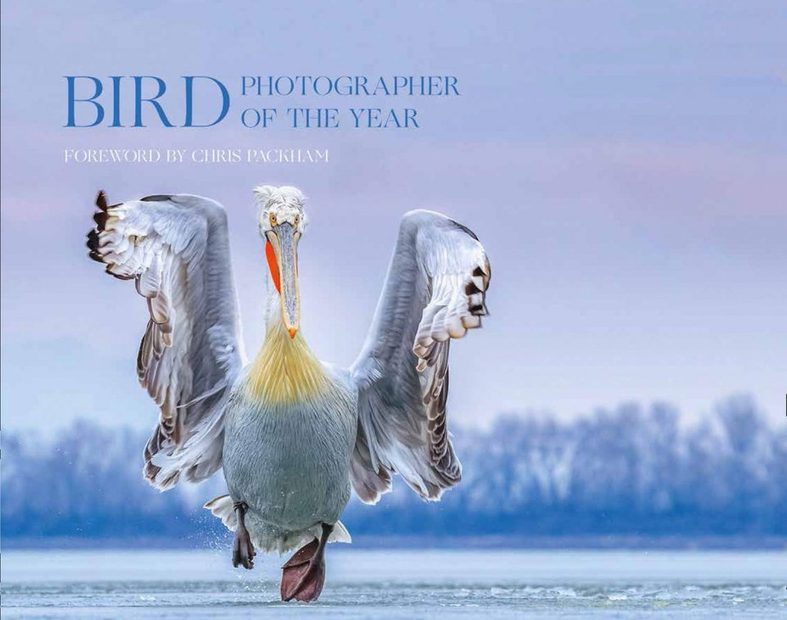 Bird Photographer of the Year, Collection 4
