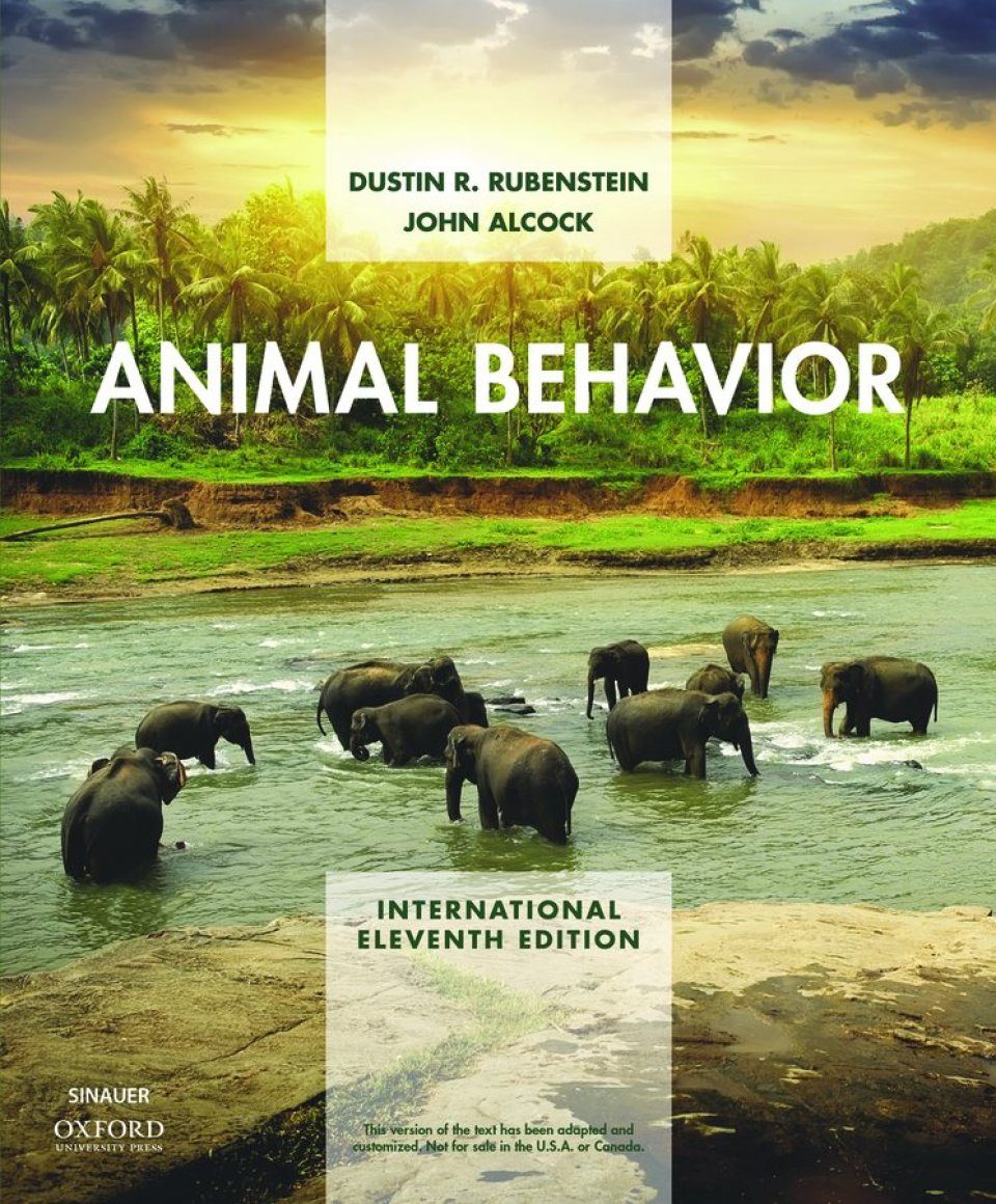 An Evolutionary Approach Animal Behavior