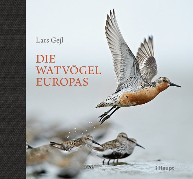 Die Watvögel Europas [Waders of Europe]