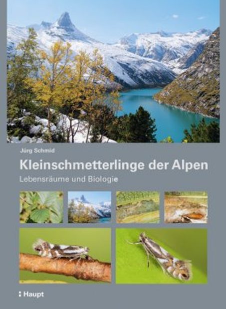 Kleinschmetterlinge der Alpen: Lebensräume und Biologie [Micro-Moths of the Alps: Habitats and Biology]