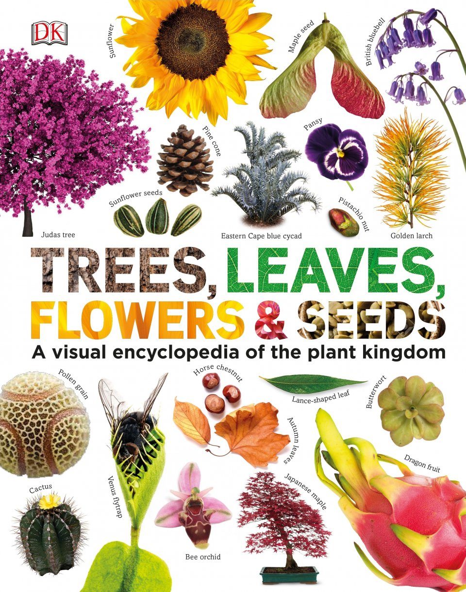 Trees Leaves Flowers Seeds A Visual Encyclopedia Of The Plant Kingdom Nhbs Bookstore