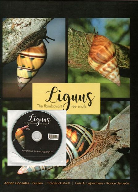 Liguus