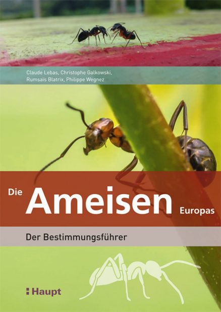 Die Ameisen Europas [Ants of Britain and Europe]