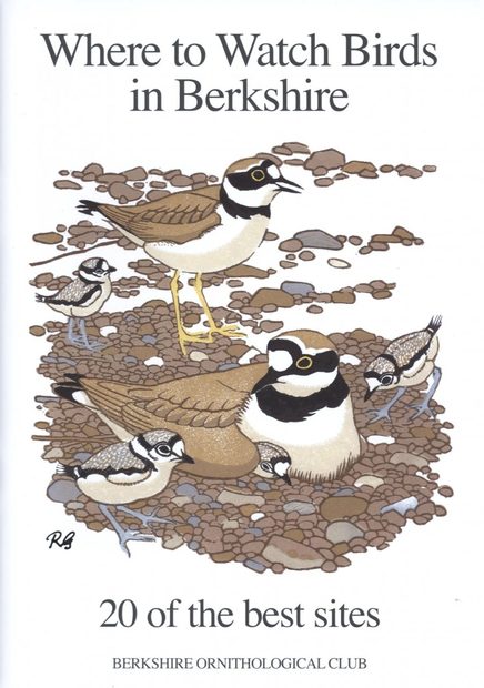 Where to Watch Birds in Berkshire