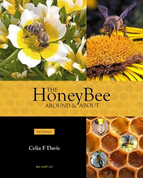 The Honey Bee Around & About