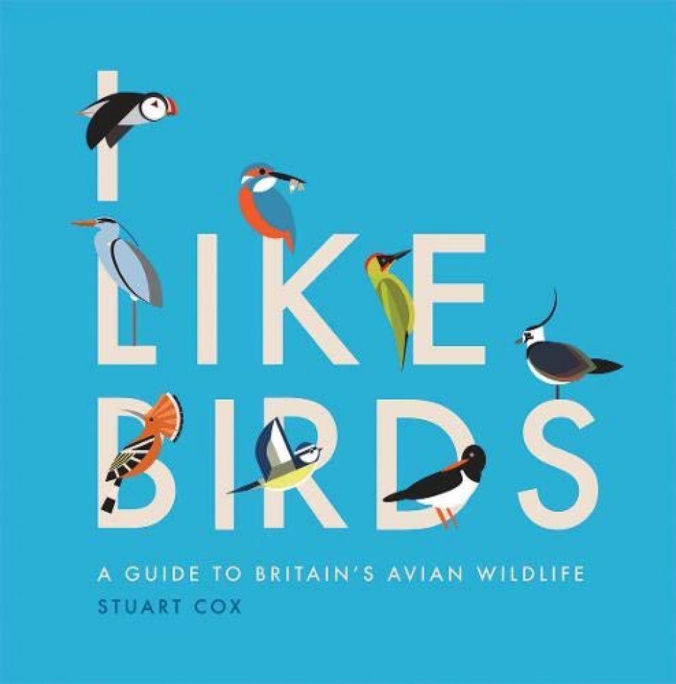 The bird of us. I like Birds. Birds like us. I like Birds (1967). Birds like us 2017 Concept.