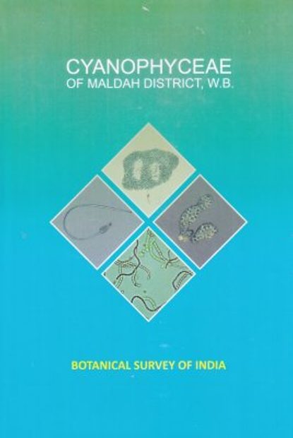 Cyanophyceae of Maldah District, West Bengal