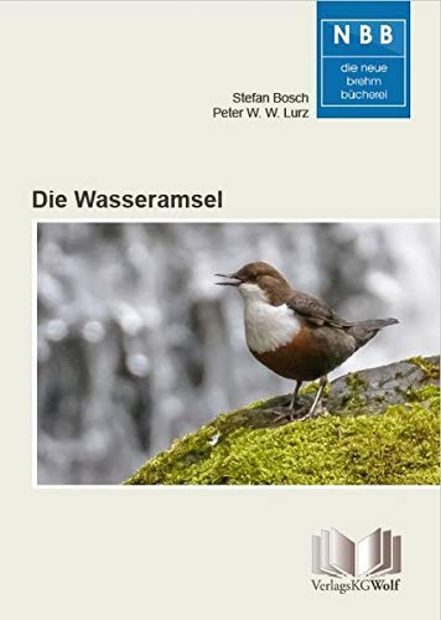 Die Wasseramsel [The White-Throated Dipper]
