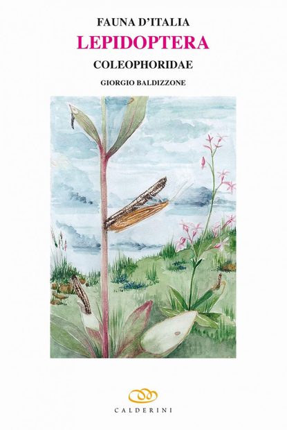 Fauna d'Italia, Volume 53: Lepidoptera: Coleophoridae