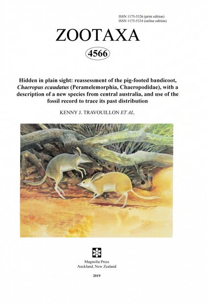 Zootaxa, Volume 4566: Hidden in Plain Sight