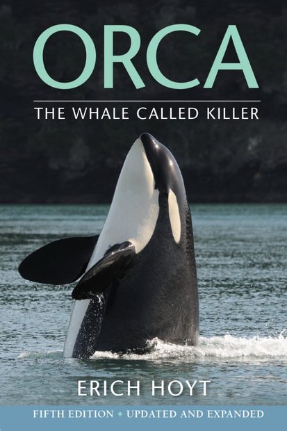 Orca