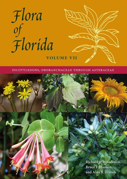 Flora of Florida, Volume 7: Dicotyledons, Orobanchaceae through Asteraceae