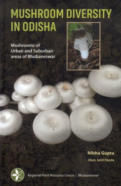 Mushroom Diversity in Odisha