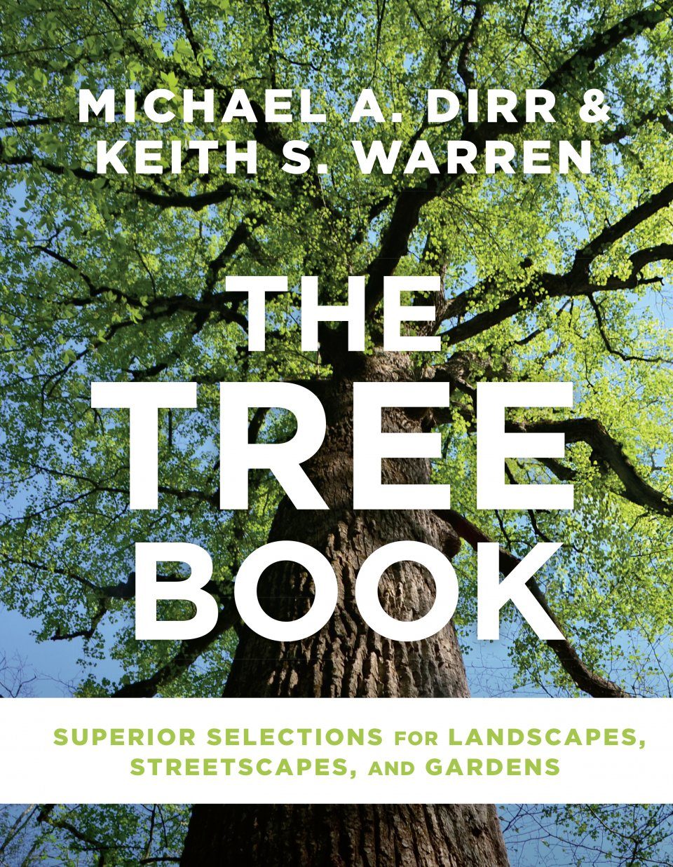 Дающее дерево книга. Дерево с книгами. Обложка книги с деревом. Это мое дерево книга. The Blue Tree книга.