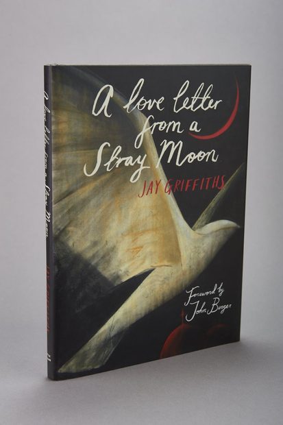 A Love Letter from a Stray Moon