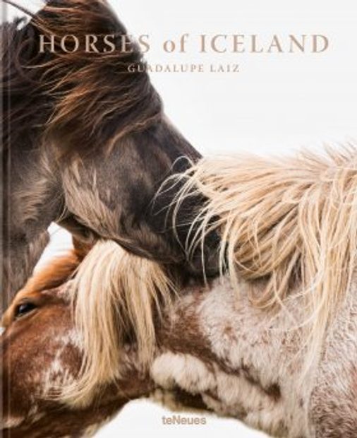 Horses of Iceland