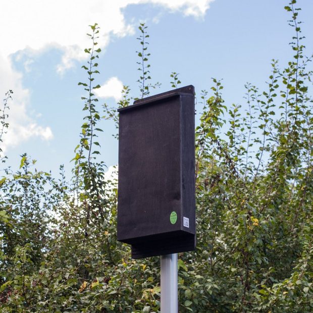Pole Mounted Maternity Bat Box