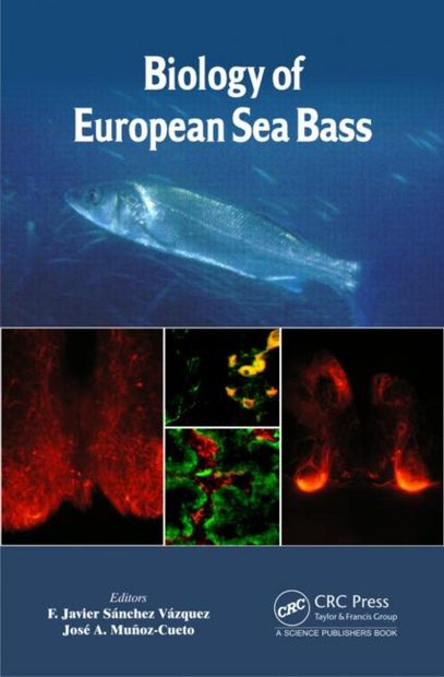 Biology of European Seabass
