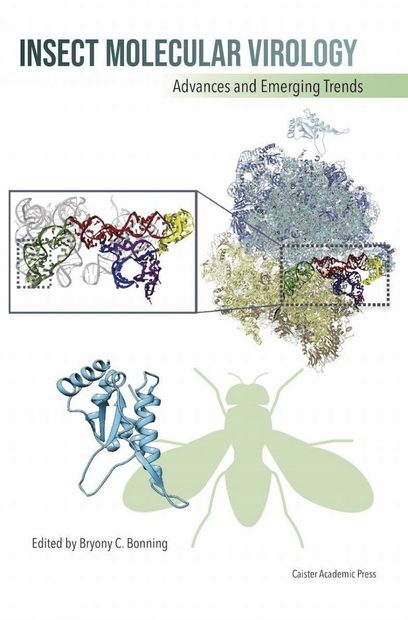Insect Molecular Virology