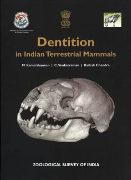 Dentition in Indian Terrestrial Mammals