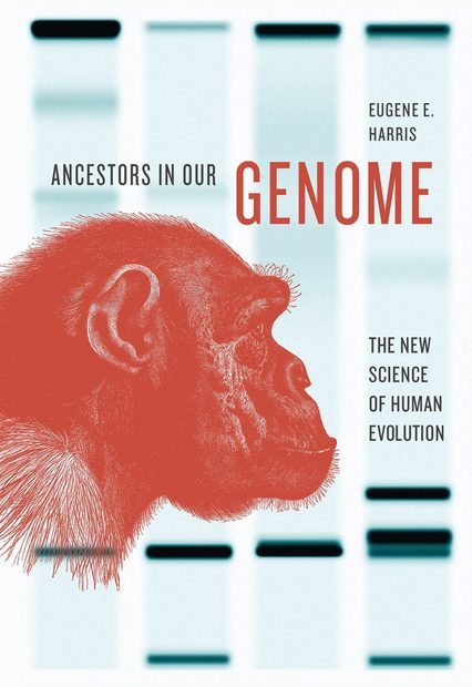 Ancestors in Our Genome