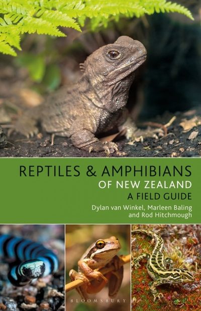 Reptiles & Amphibians of New Zealand