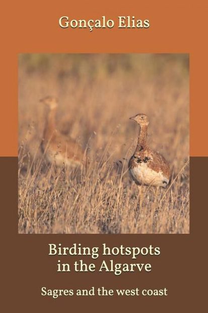 Birding Hotspots in the Algarve: Sagres and the West Coast